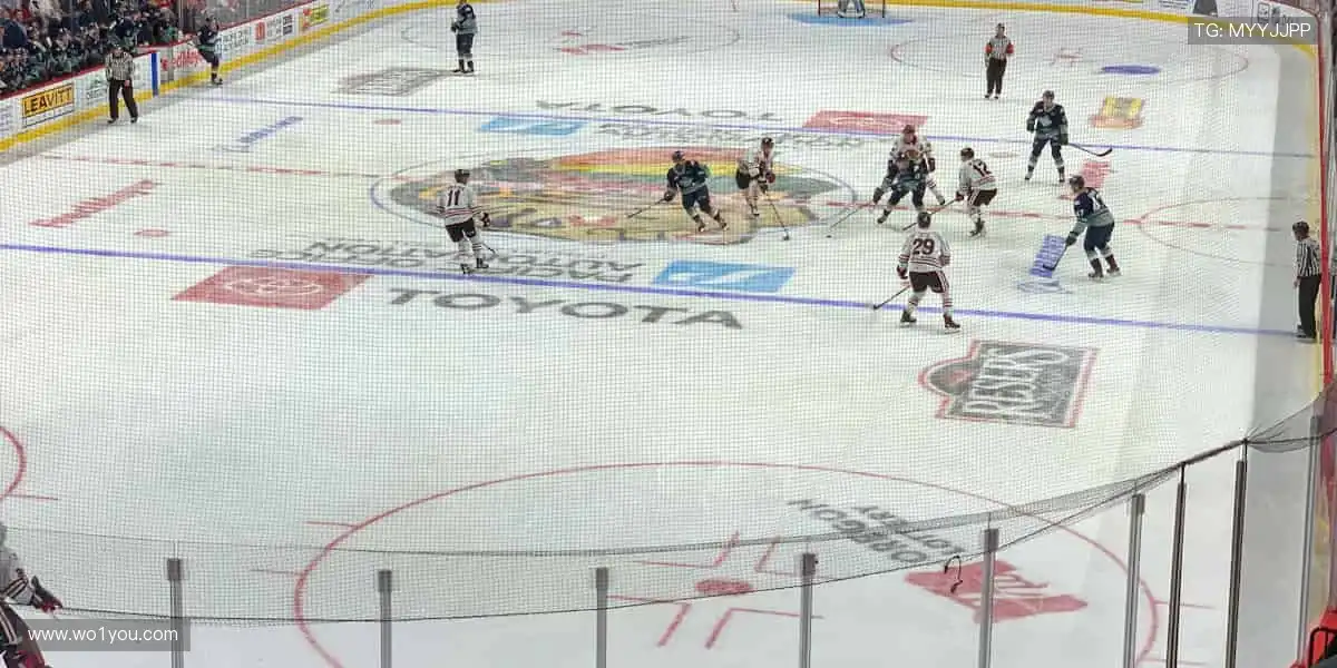 随时随地，直播你的精彩！📱✨